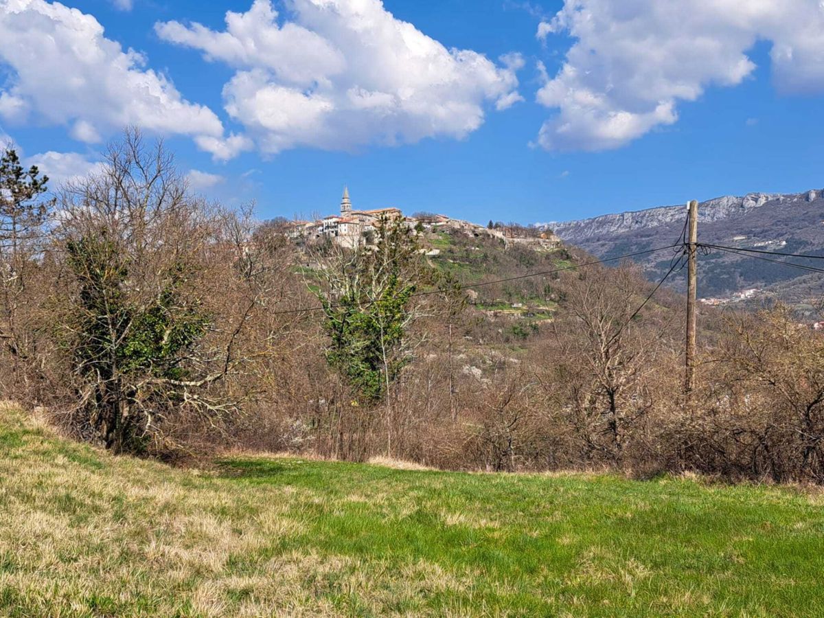 Progetto di una villa con piscina, con vista sulla natura e sulla città di Buzet