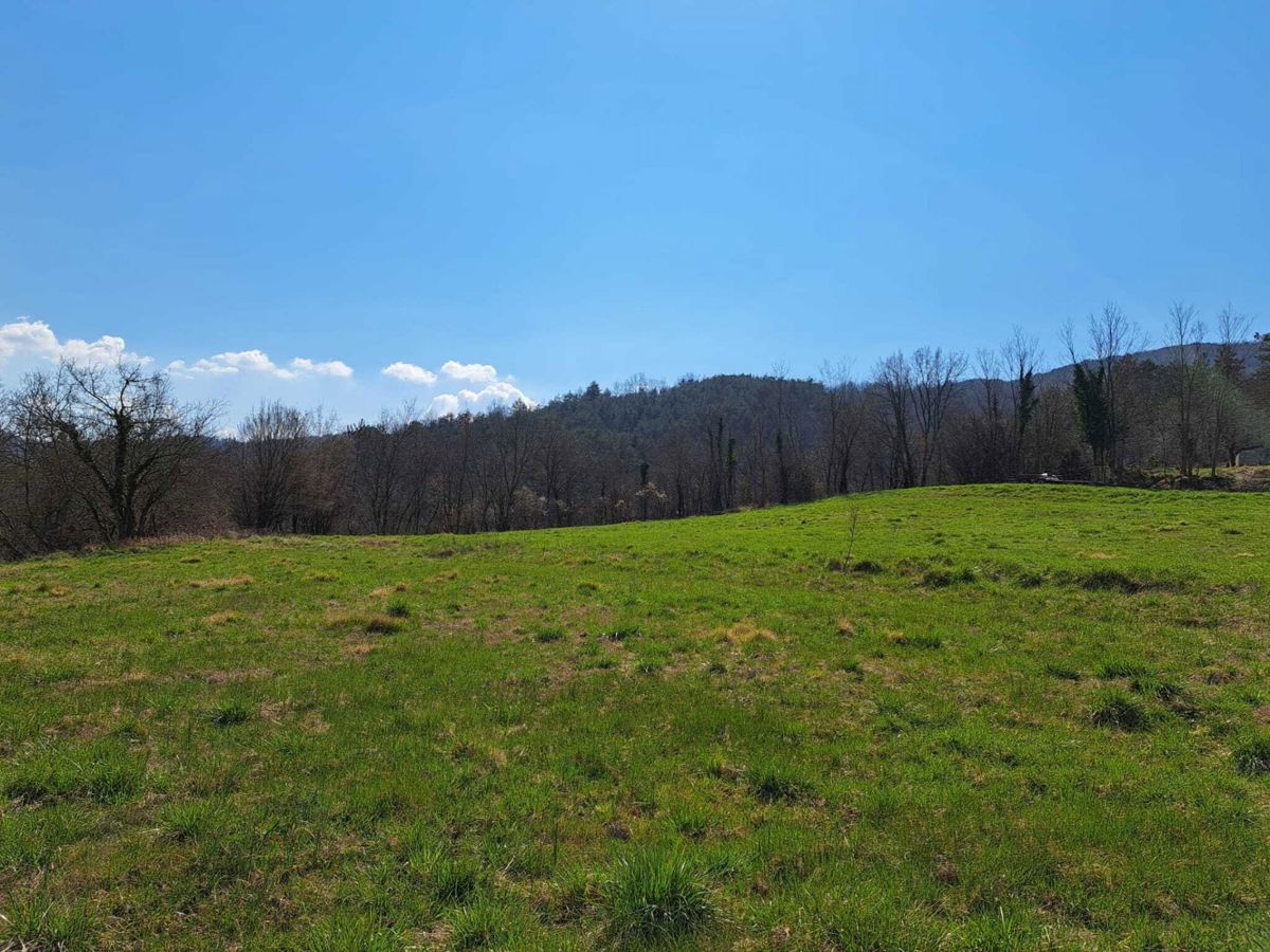 Progetto di una villa con piscina, con vista sulla natura e sulla città di Buzet