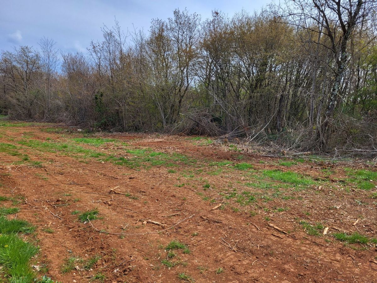 Terreno agricolo 2 ha, Parenzo