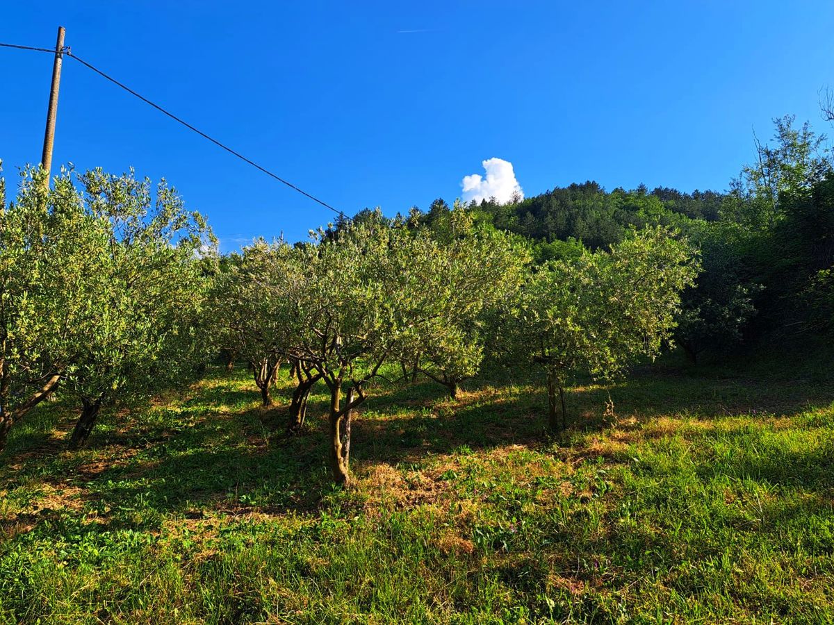 Terreno edificabile con vista sul lago Butoniga, vicino a Pisino