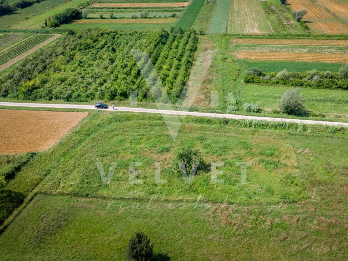 Terreno edificabile - GOLOGORIČKI DOL