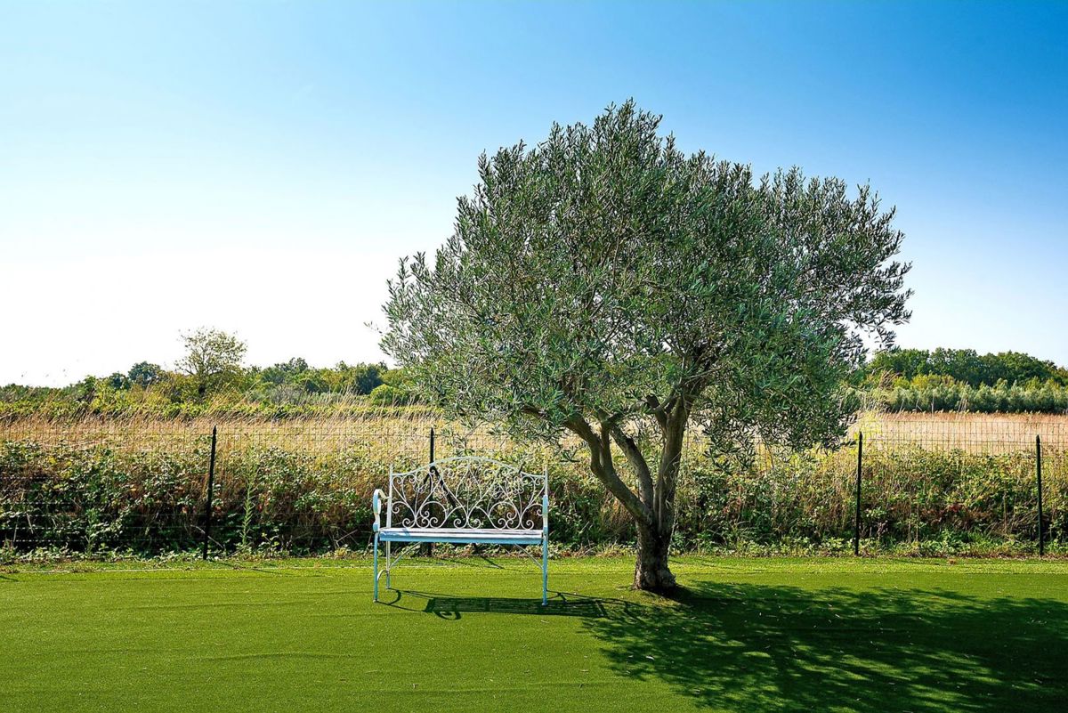 Casa in pietra con piscina e area benessere, vicino a Marčana