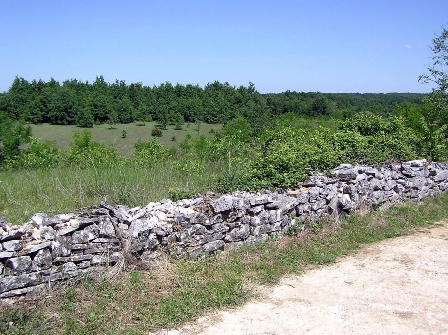 Terreno edificabile e agricolo di 995 m2, vicino a Žminj