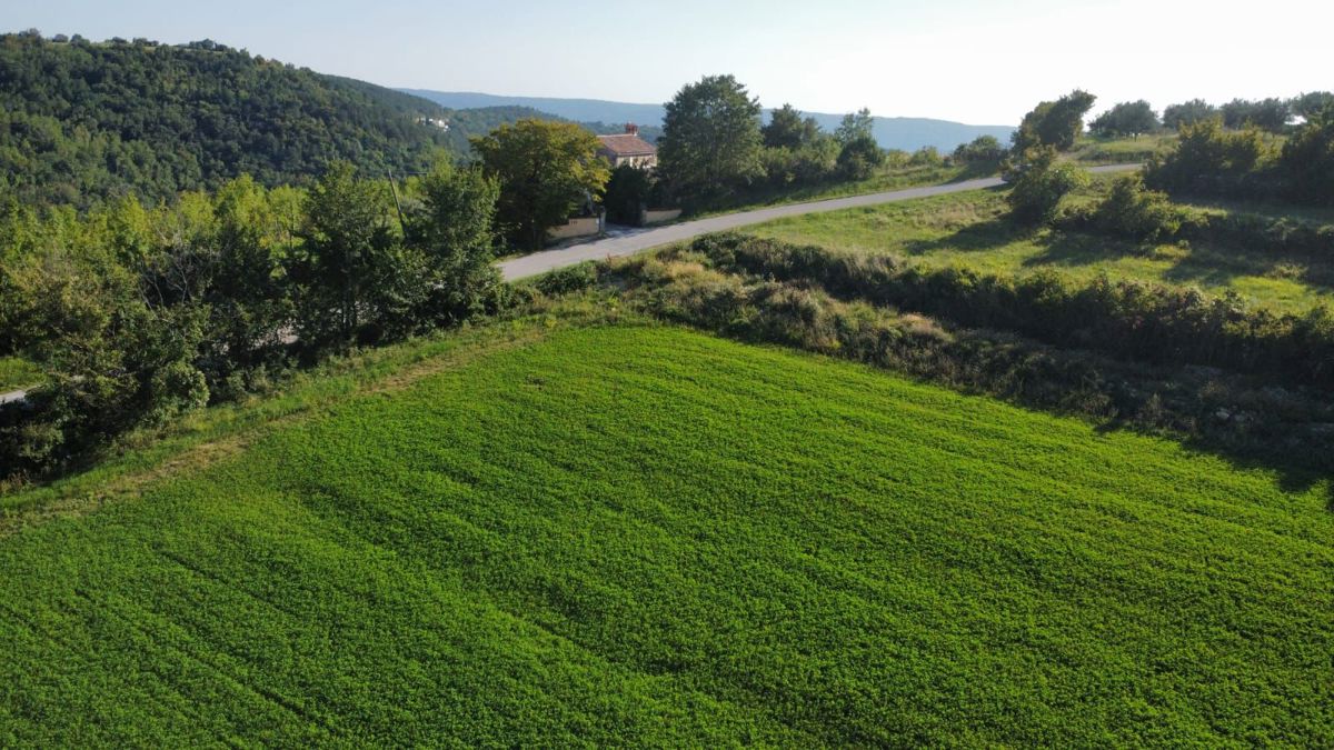 Oprtalj, Terreno edificabile con permesso di costruzione e vista unica.