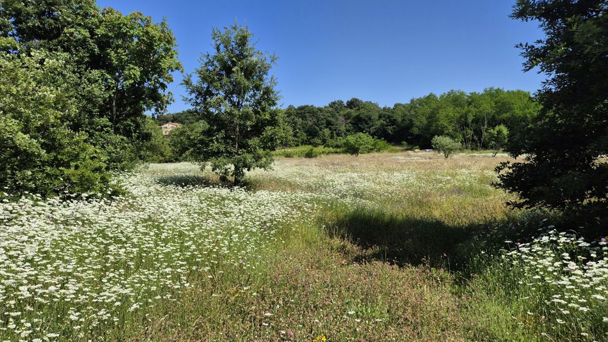 Terreno Labin, 1.652m2