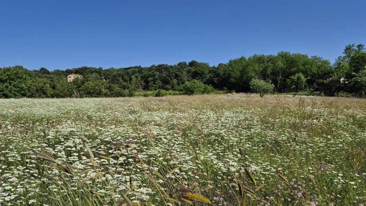 Terreno Labin, 1.652m2