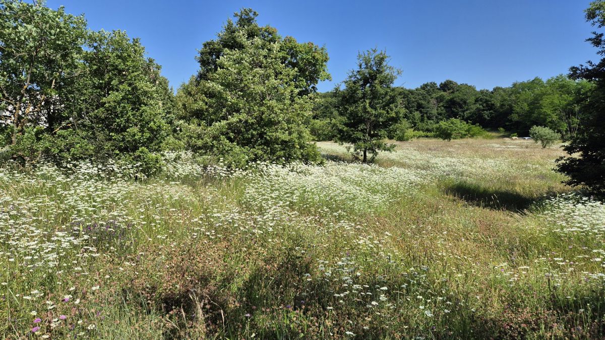 Terreno Labin, 1.652m2