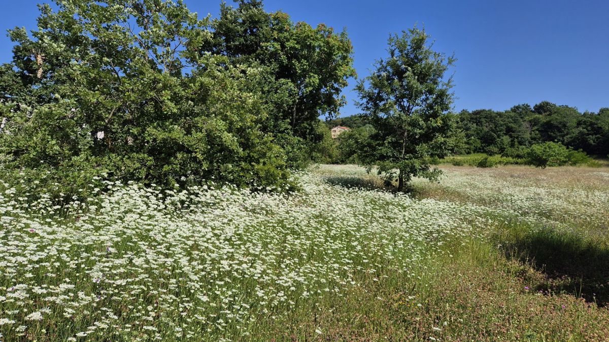Terreno Labin, 1.652m2