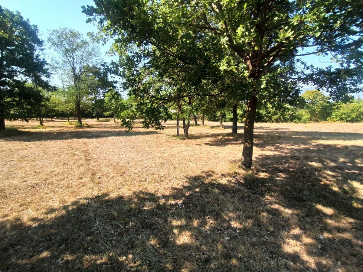 Chersano, terreno edificabile 1500 m²