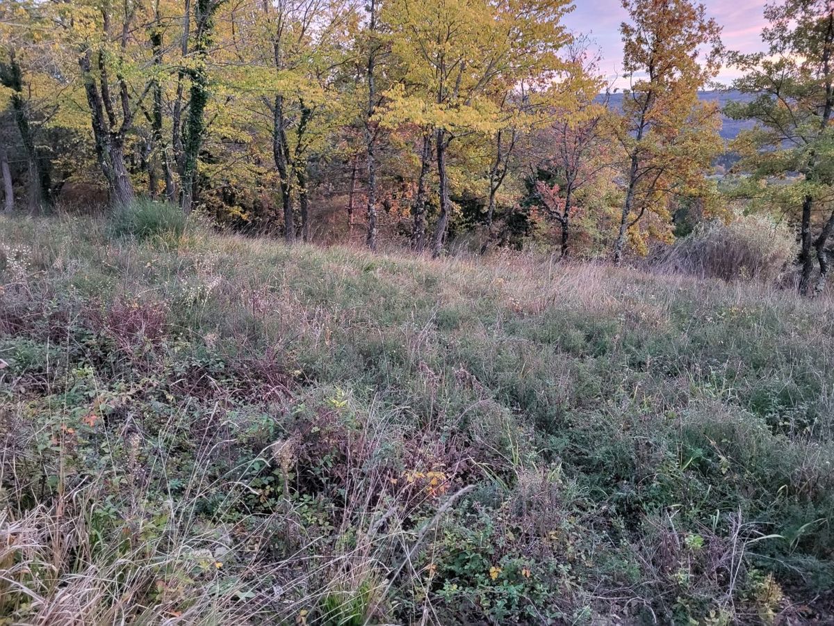 Terreno edificabile con vista, vicino a Grožnjan