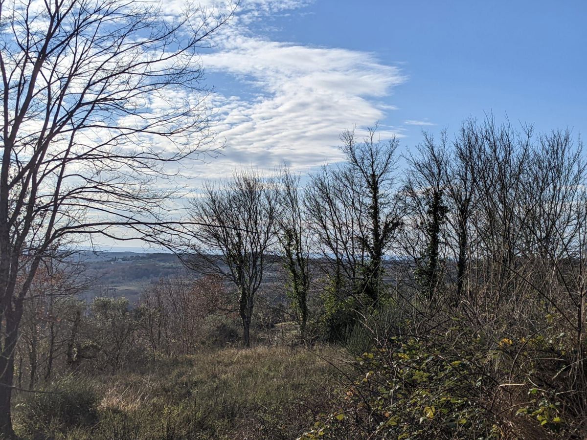 Terreno edificabile con vista, vicino a Grožnjan