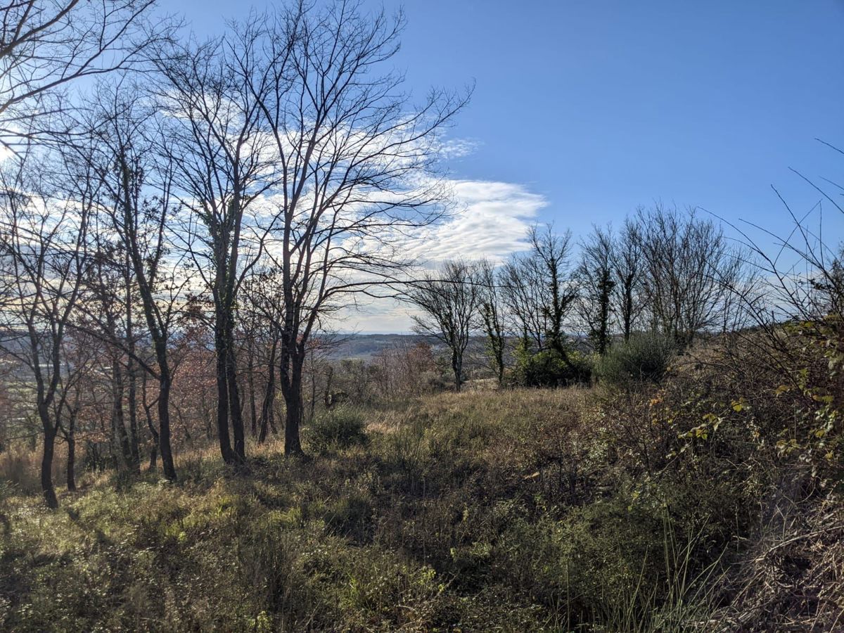 Terreno edificabile con vista, vicino a Grožnjan