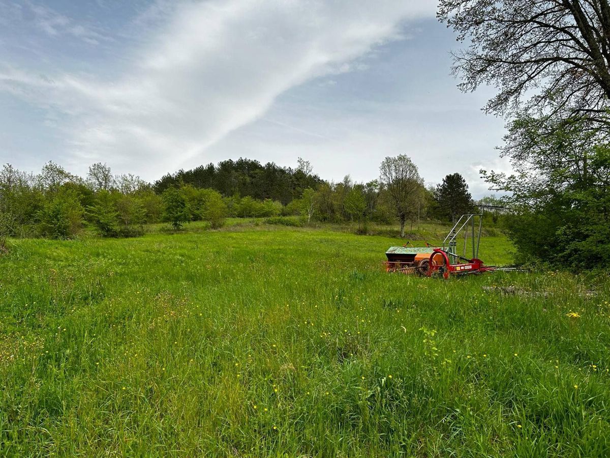 Casa in pietra con terreno agricolo, Potpićan
