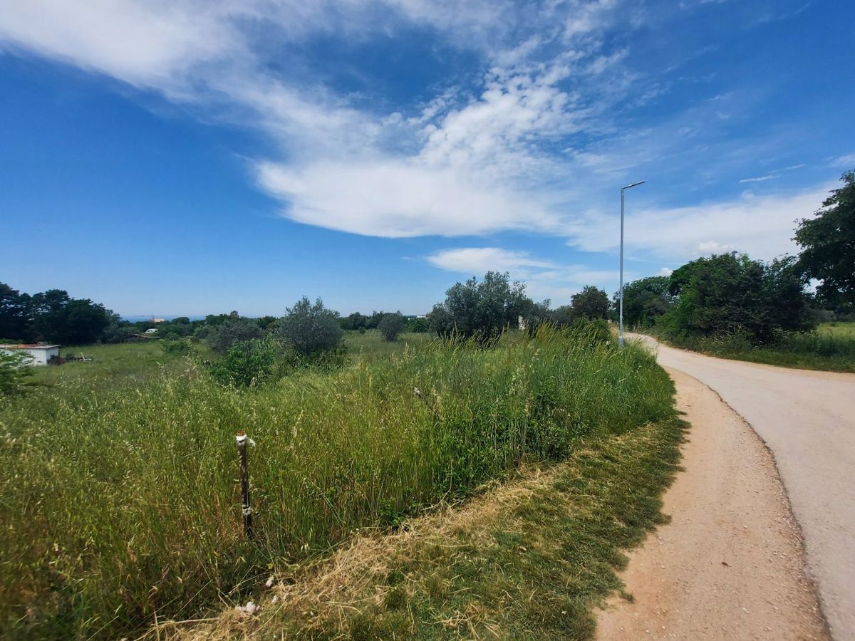 Terreno agricolo con alberi di ulivo, Peroj