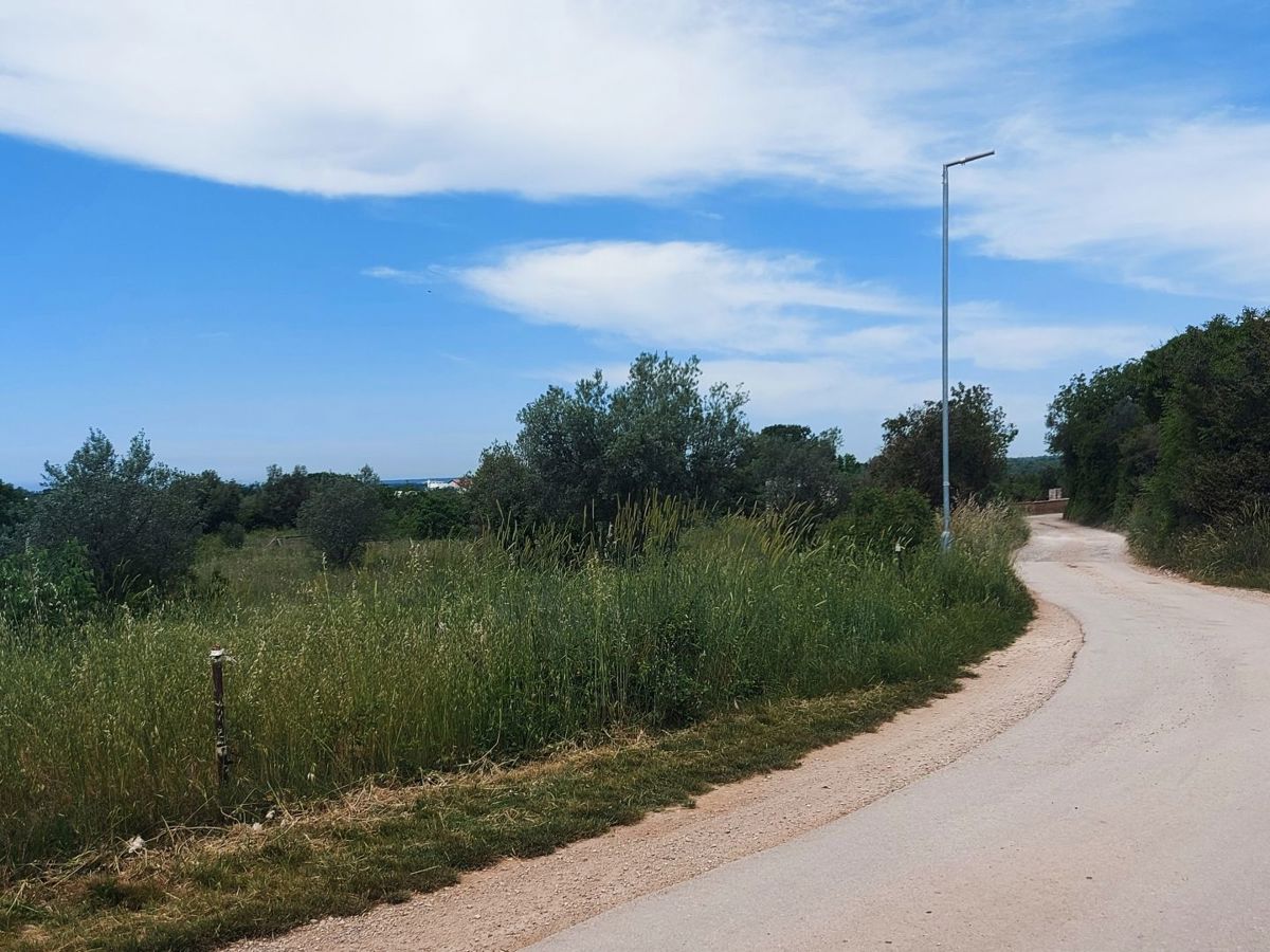 Terreno agricolo con alberi di ulivo, Peroj