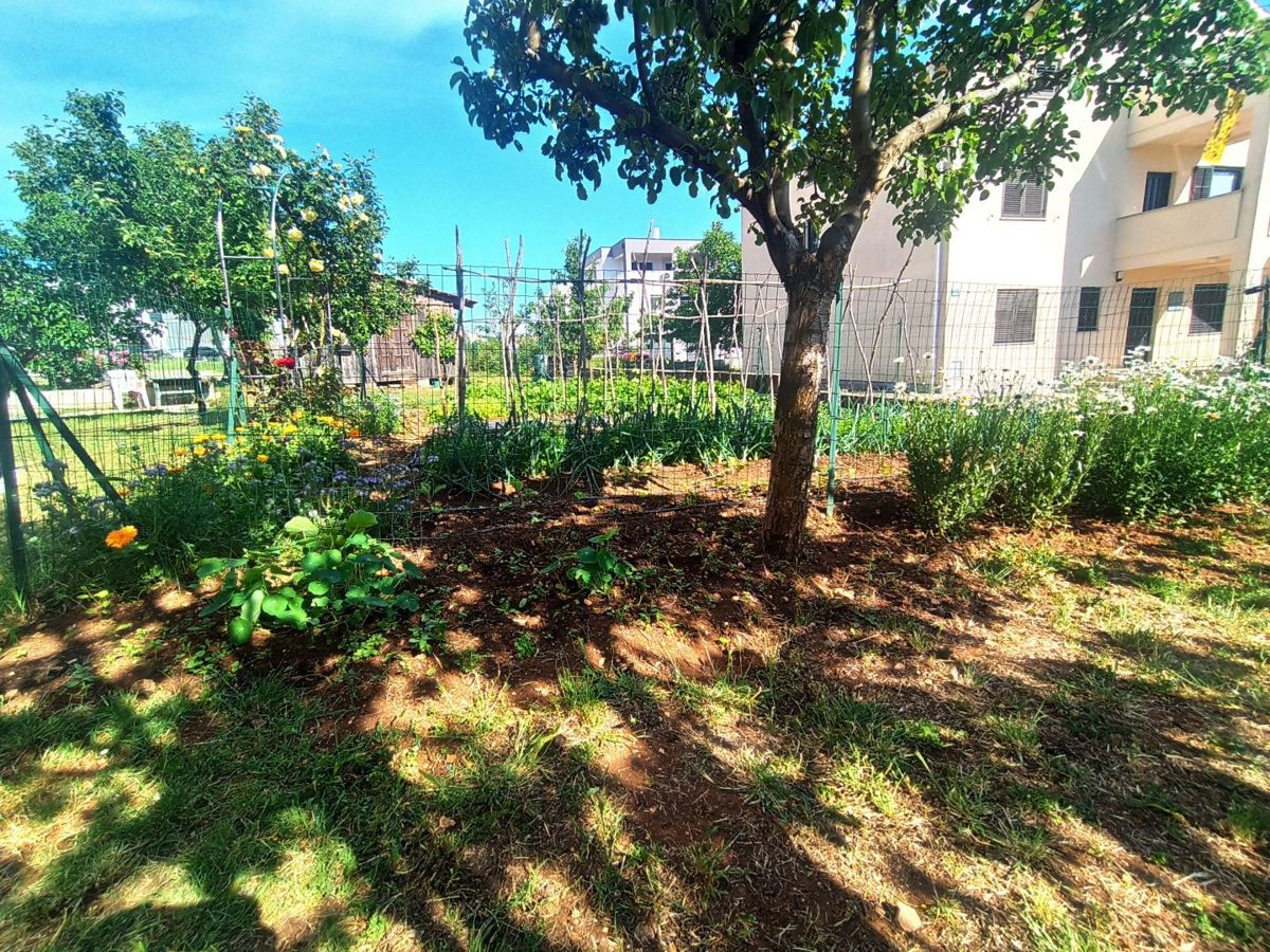 Palazzina con ampio giardino, vicino a Pola