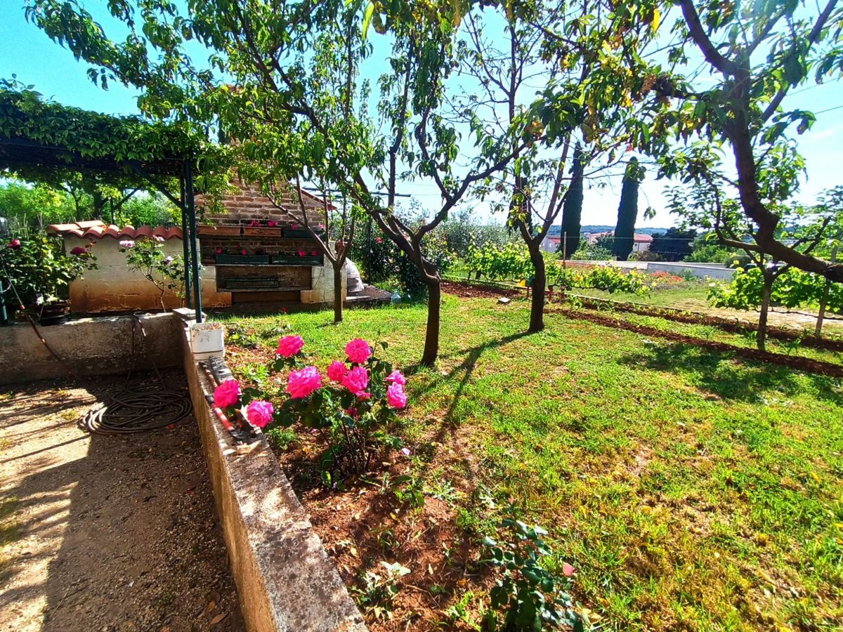 Palazzina con ampio giardino, vicino a Pola