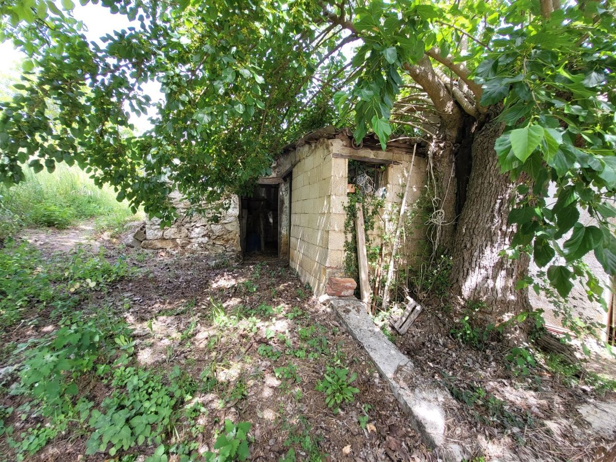 Casa istriana con vista su Montona