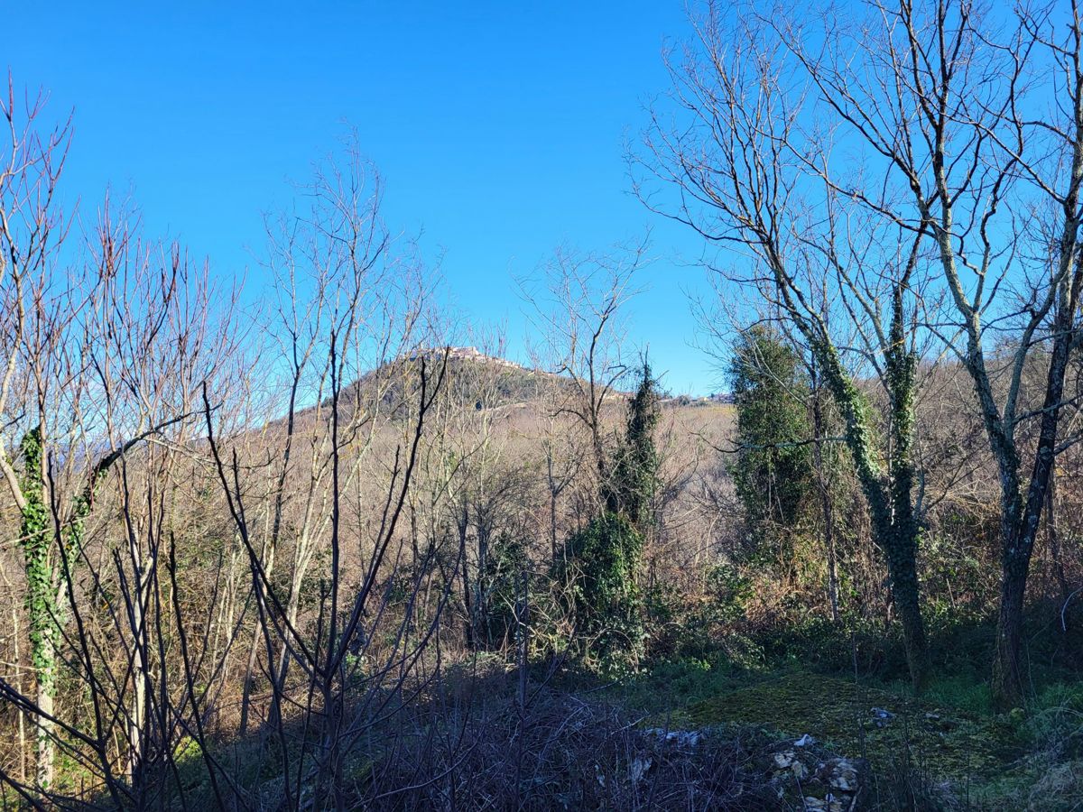 Casa in pietra con vista su Montona