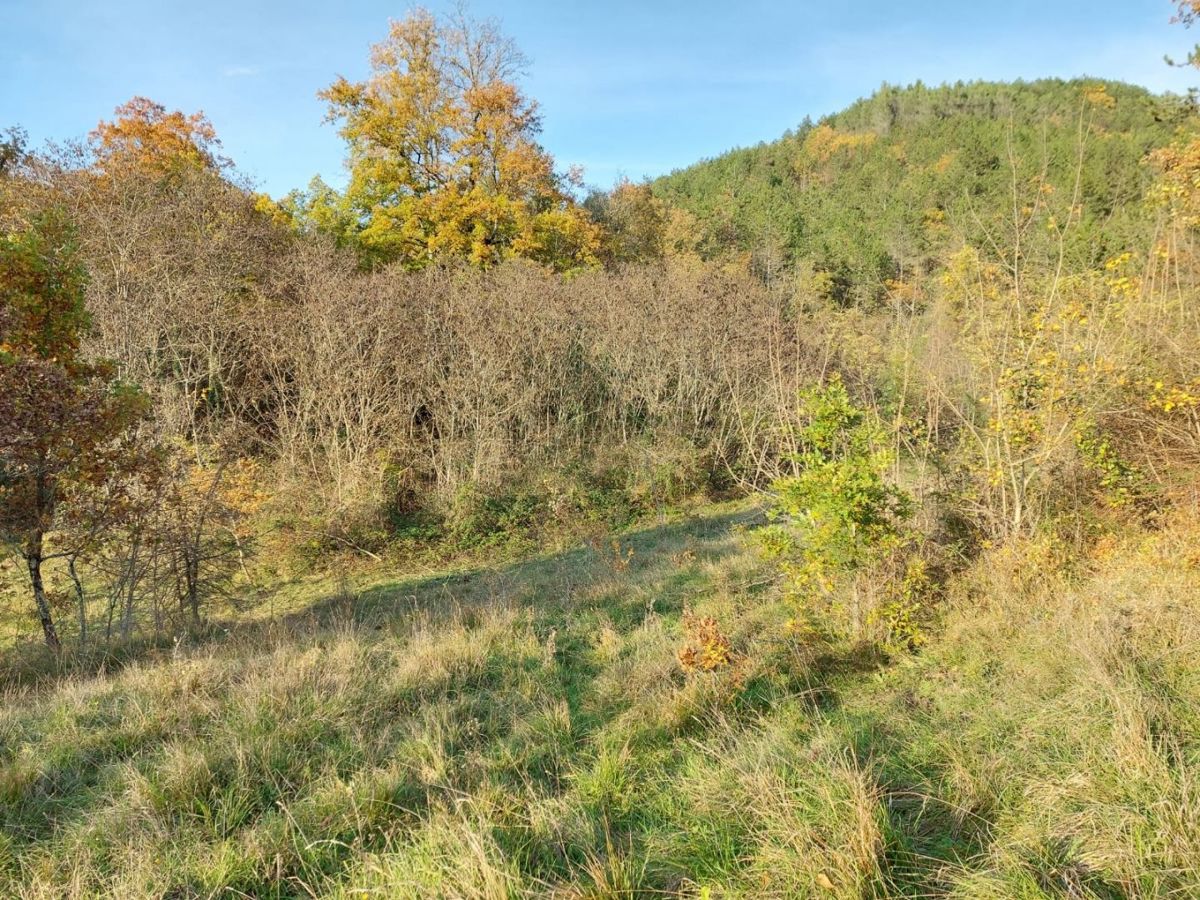 Cerovlje, casa in pietra da ristrutturare con vista