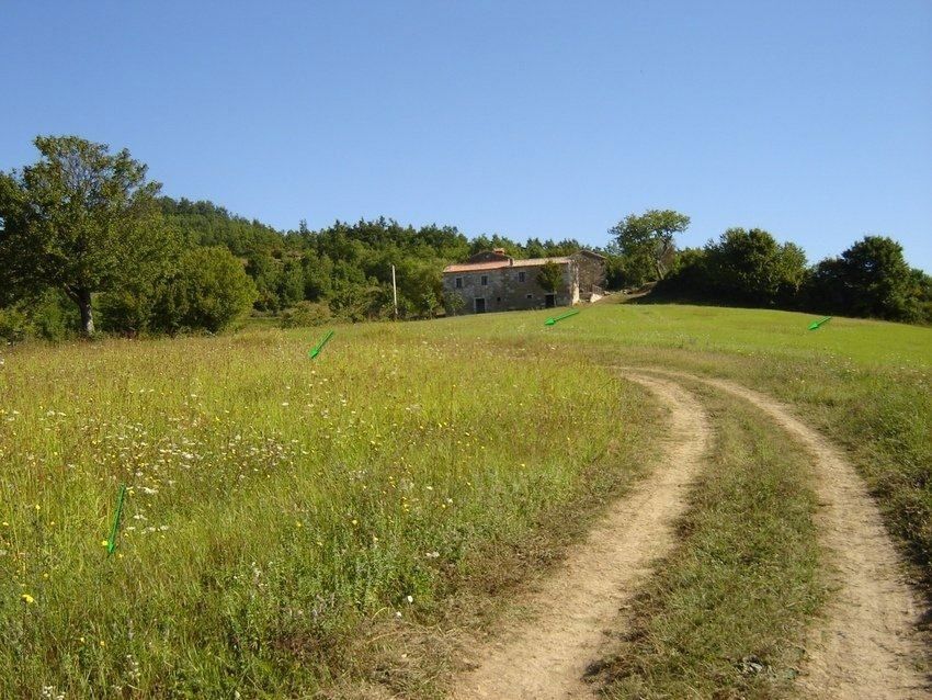 Terreno misto immerso nel verde