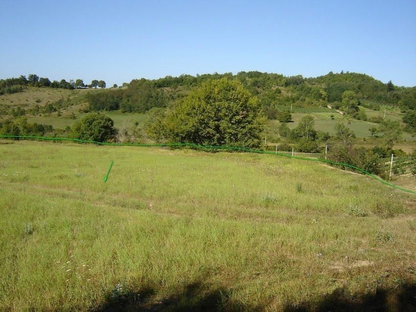 Terreno misto immerso nel verde