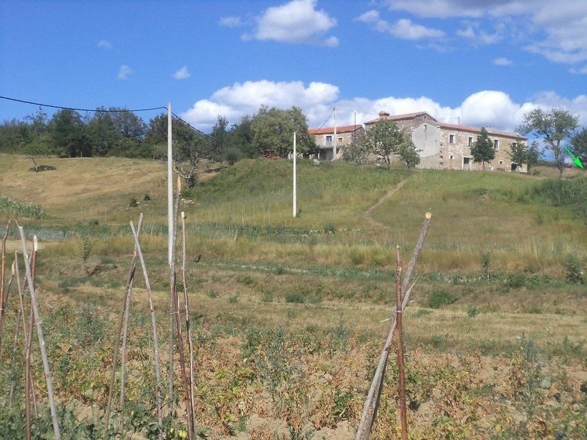 Terreno misto immerso nel verde