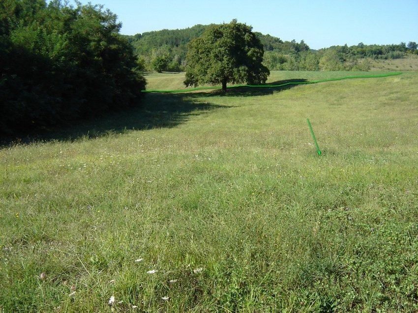 Terreno misto immerso nel verde