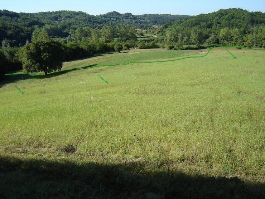 Terreno misto immerso nel verde