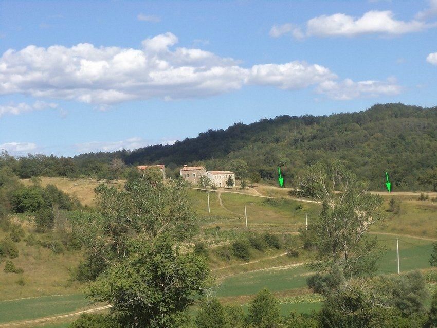 Terreno misto immerso nel verde