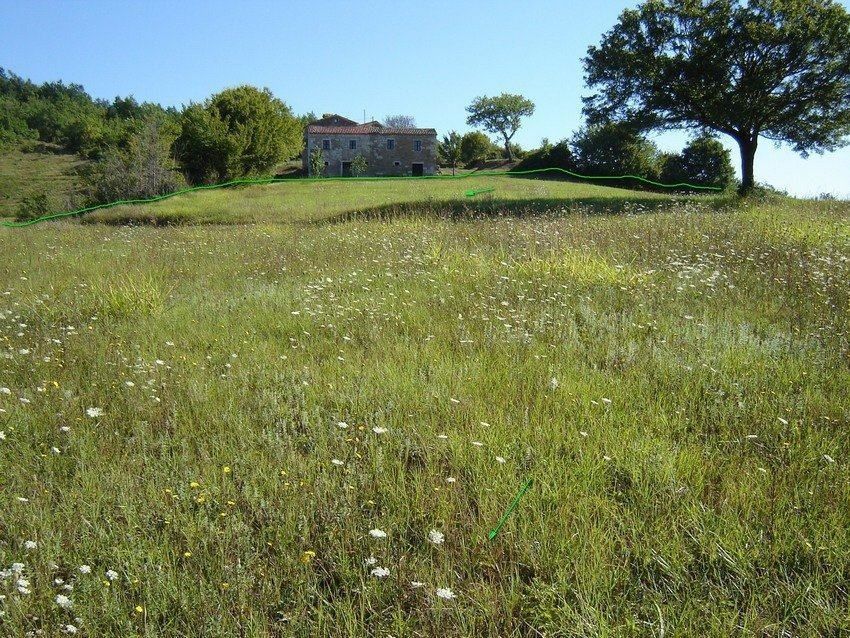 Terreno misto immerso nel verde