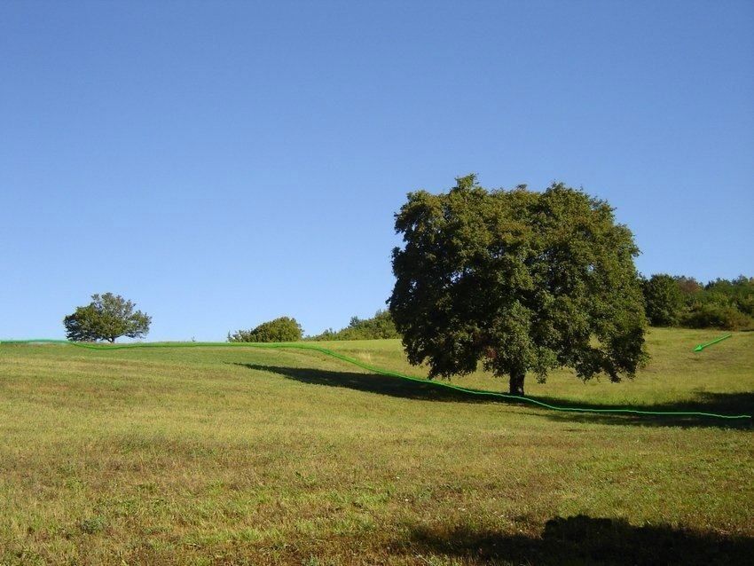 Terreno misto immerso nel verde