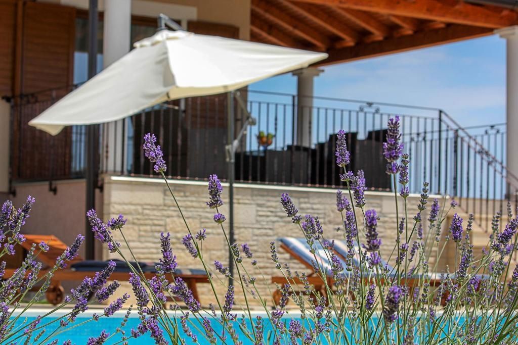 Casa con piscina e campo da minigolf, nei dintorni di Svetvinčent