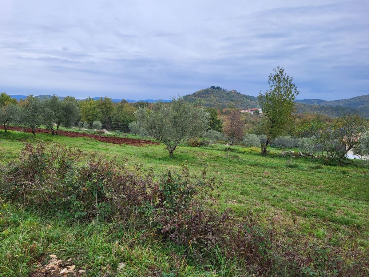 Ampio terreno in una bella posizione, vicino Buzet