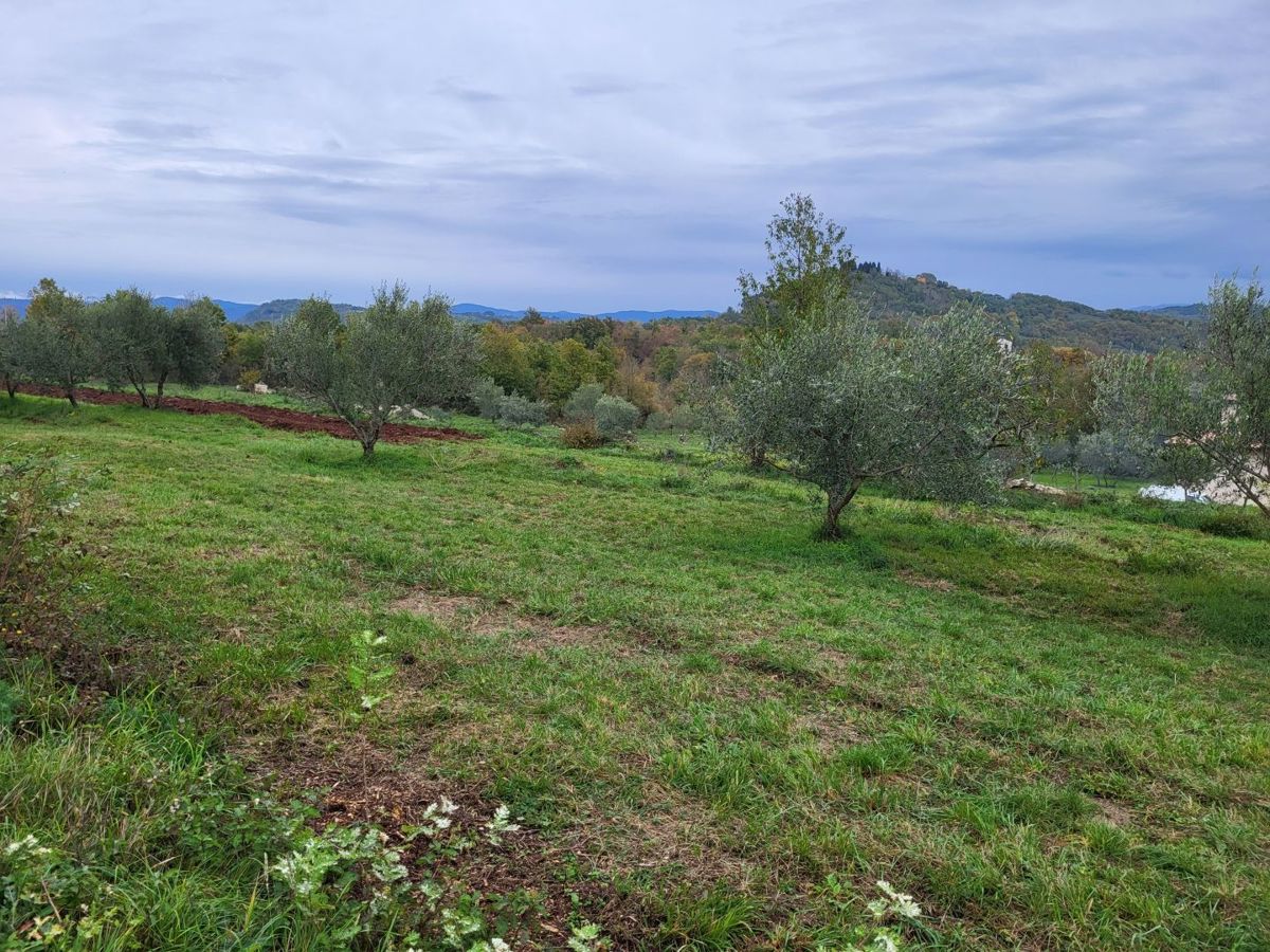 Ampio terreno in una bella posizione, vicino Buzet