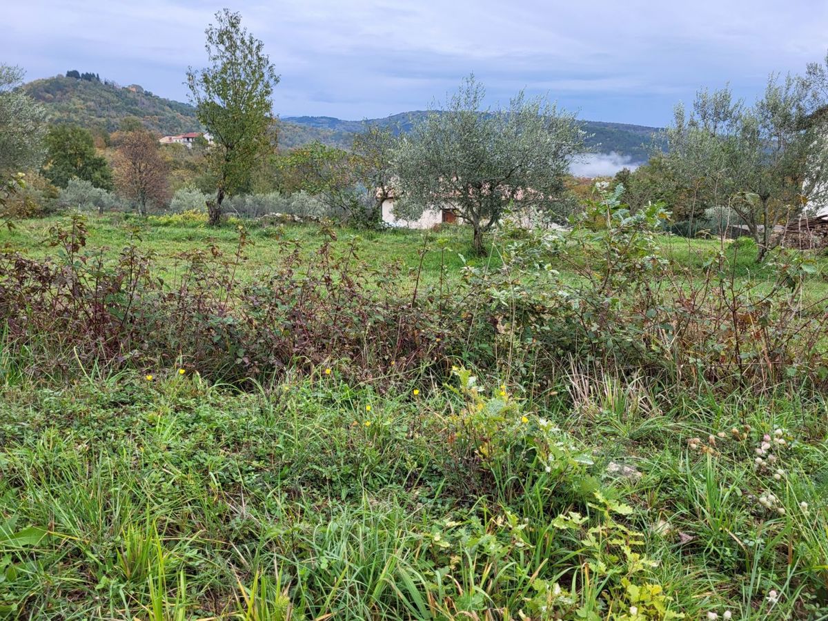 Ampio terreno in una bella posizione, vicino Buzet