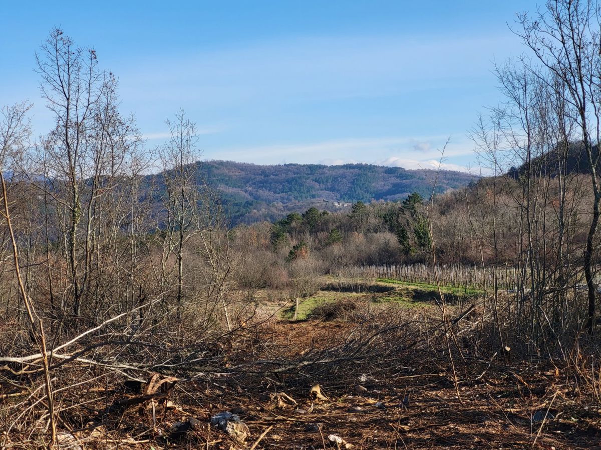 Terreno edificabile con una bella vista, l'ultimo nella zona di costruzione