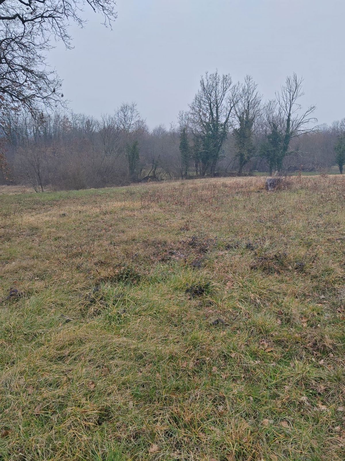 Kršan, terreno misto 5839 m2