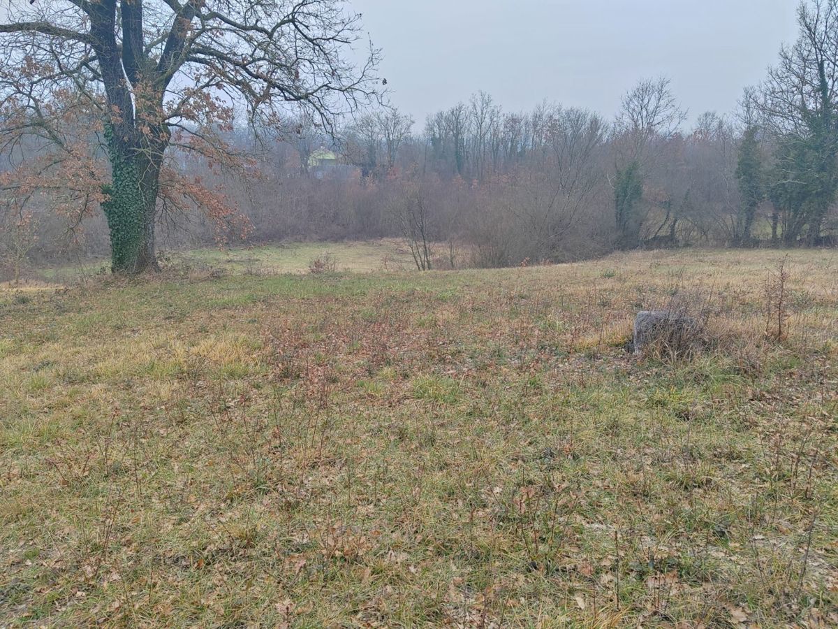 Kršan, terreno misto 5839 m2