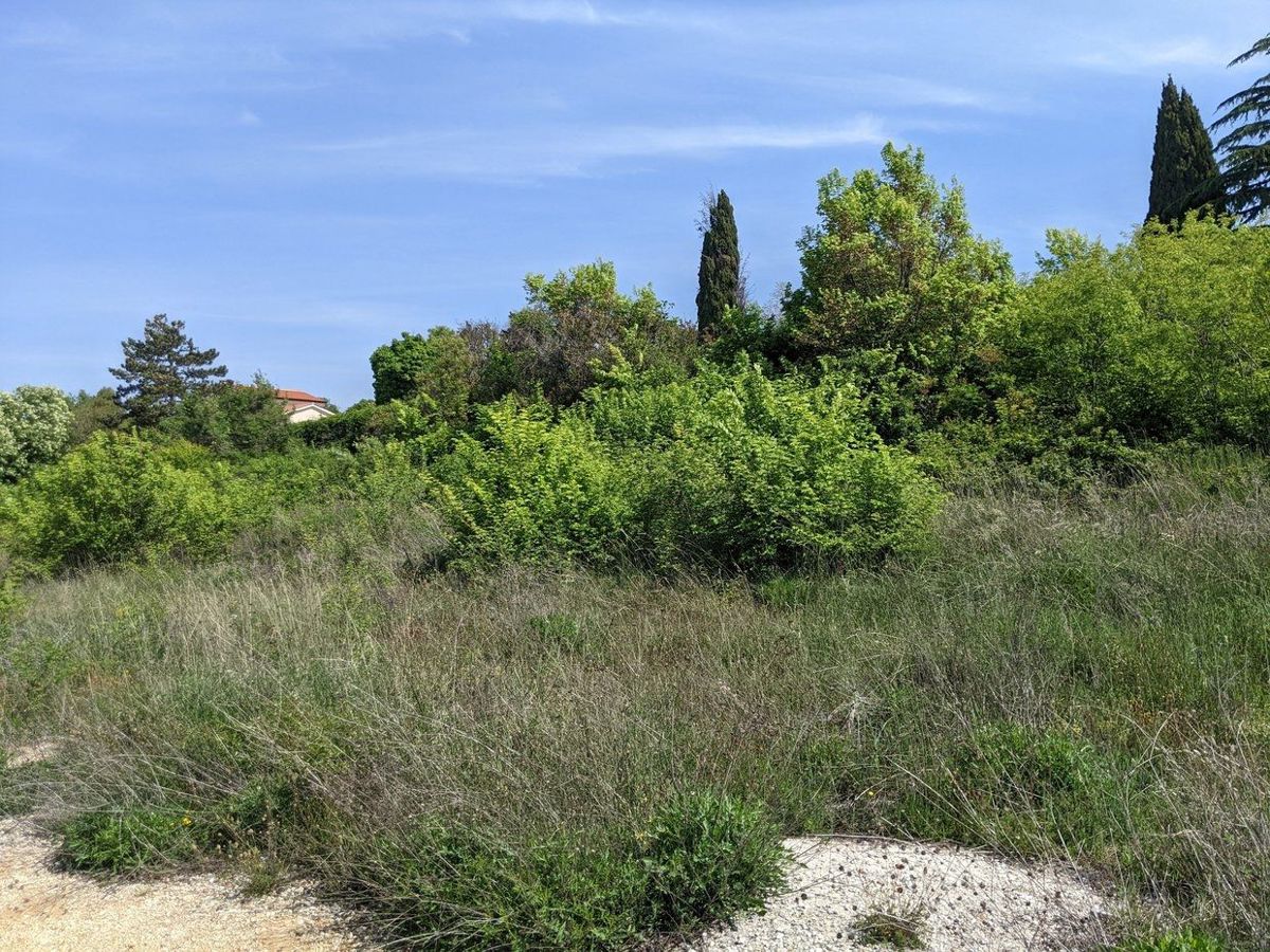 Labin, terreno con licenza edilizia, vista mare