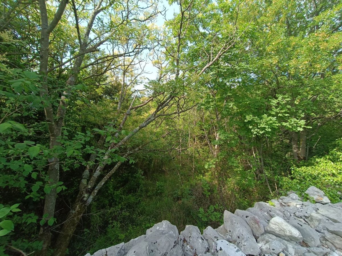 Casa in pietra da ristrutturare con vista mare, vicino a Labin