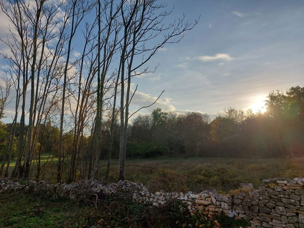 Terreno misto di 7235 m2 in una posizione tranquilla