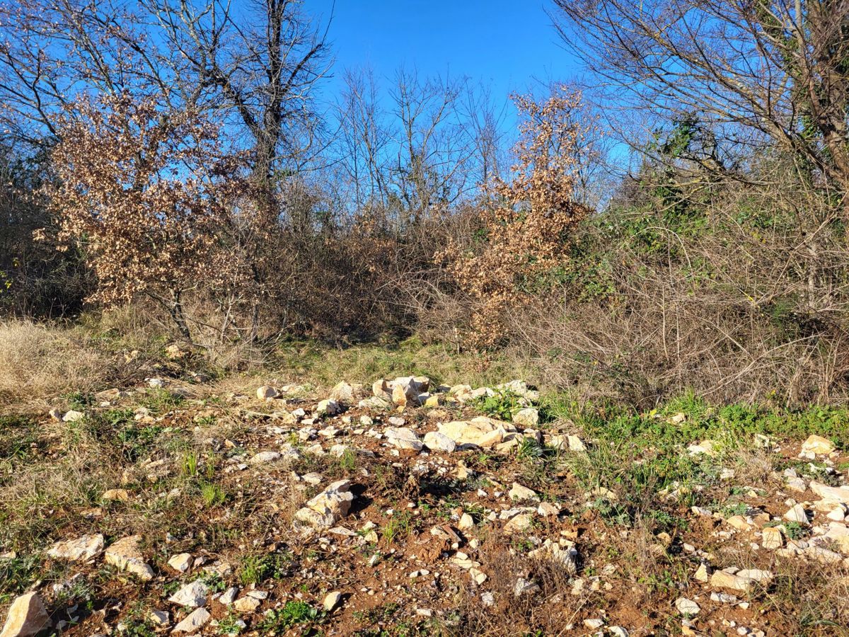 Terreno edificabile in una posizione tranquilla, vicino Buzet