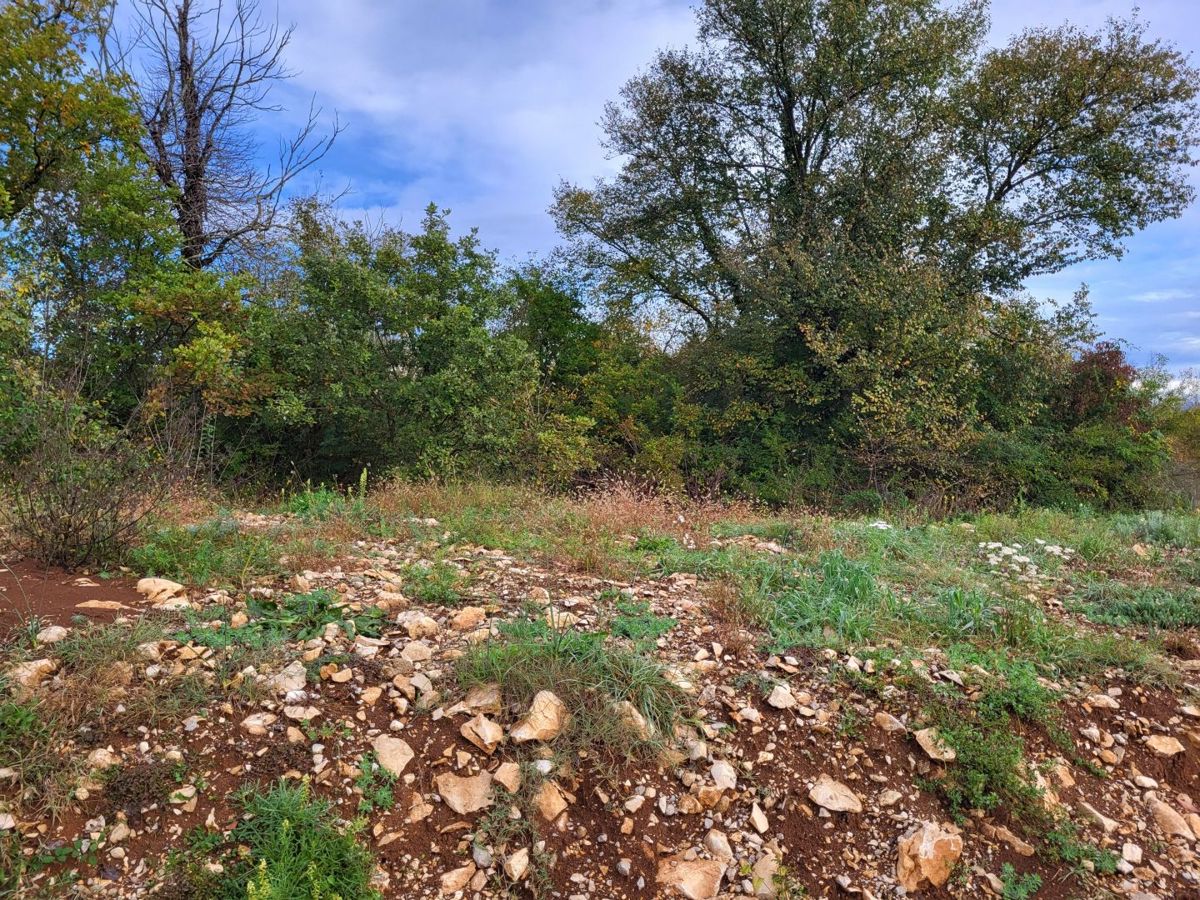 Terreno edificabile in una posizione tranquilla, vicino Buzet
