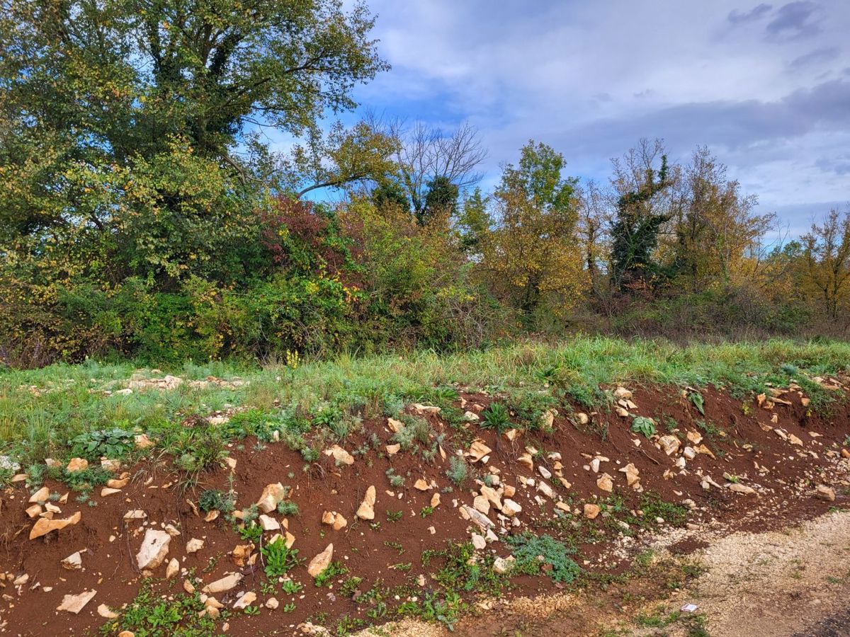 Terreno edificabile in una posizione tranquilla, vicino Buzet