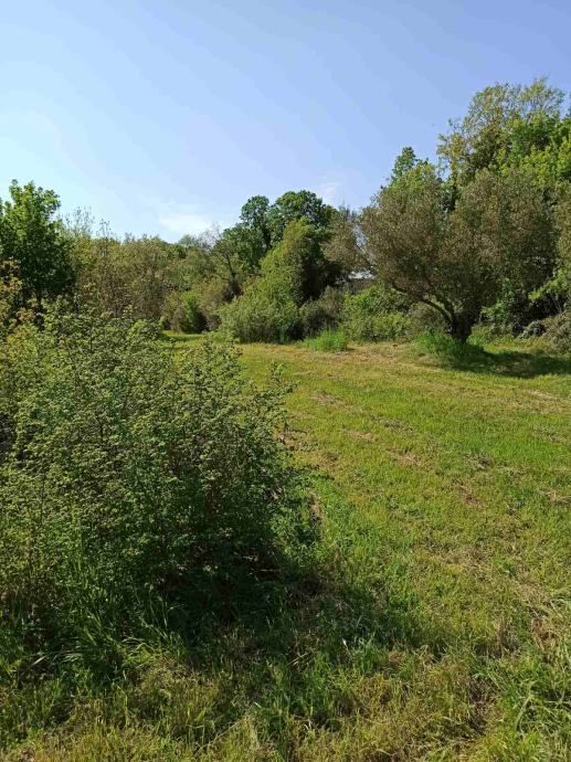 Terreno edificabile 1212 m2, area più ampia di Marčana