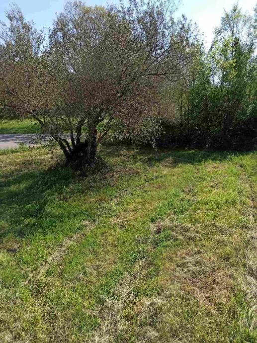 Terreno edificabile 1212 m2, area più ampia di Marčana