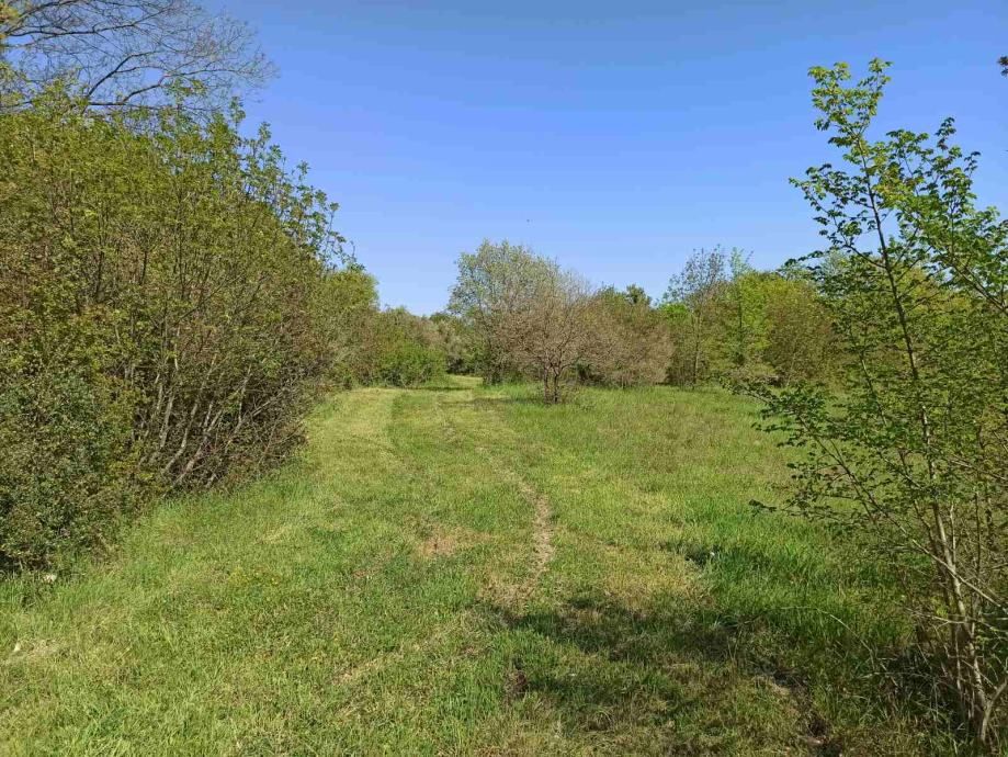 Terreno edificabile 1212 m2, area più ampia di Marčana
