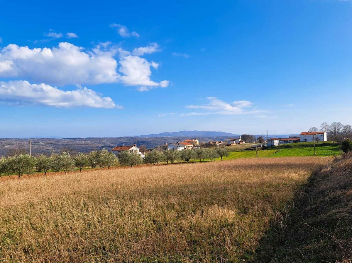 Terreno edificabile con progetto e permesso, nelle vicinanze di Barban