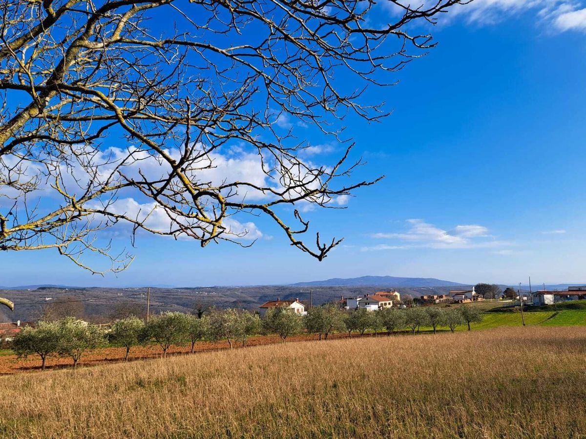 Terreno edificabile con progetto e permesso, nelle vicinanze di Barban